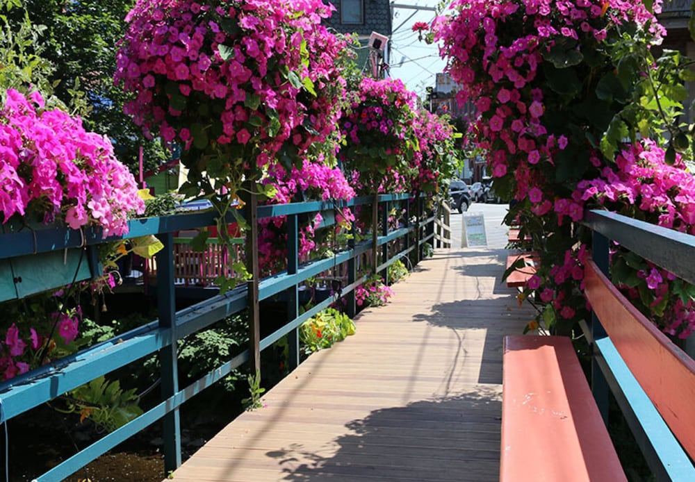 Camden Riverhouse Hotel - photo 84