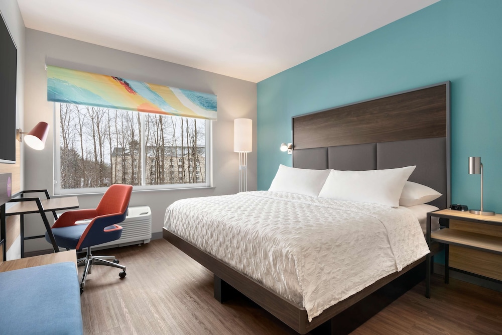 Tru By Hilton Albany Airport NY - photo 15