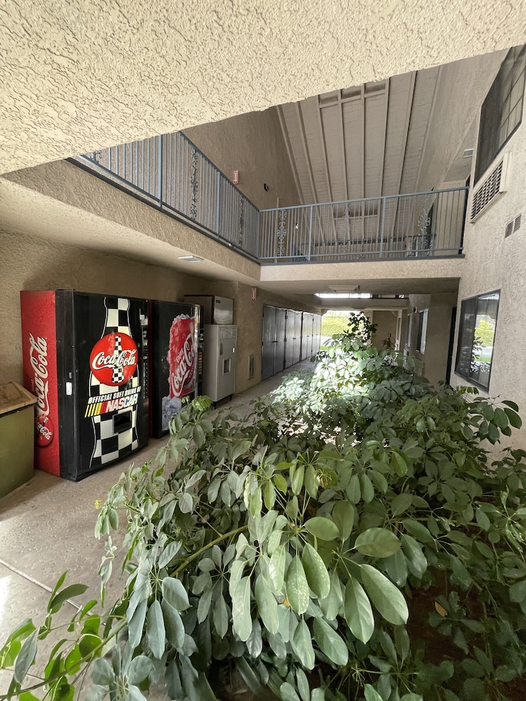 Chino Motel - photo 46