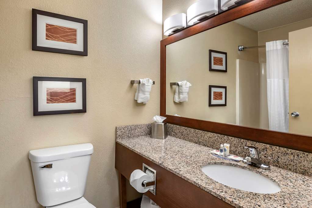 Comfort Inn Moline Quad Cities - photo 21