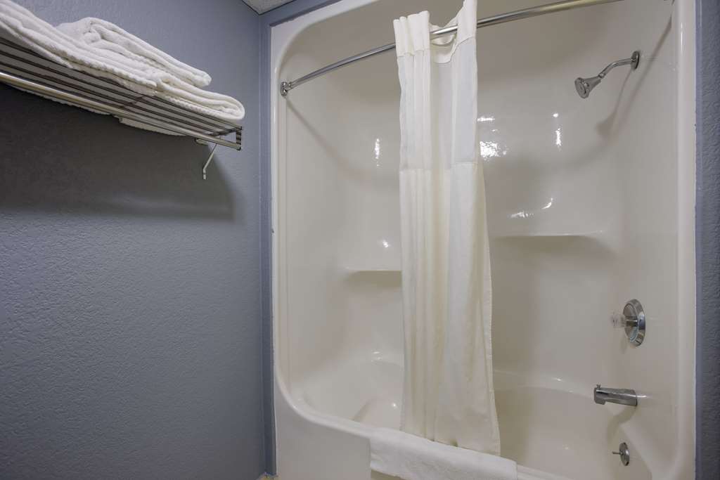 Quality Inn & Suites Big Rapids near University - photo 22