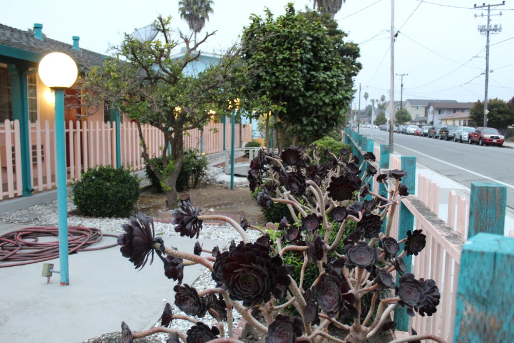 Riverside Inn & Suites Santa Cruz - photo 60