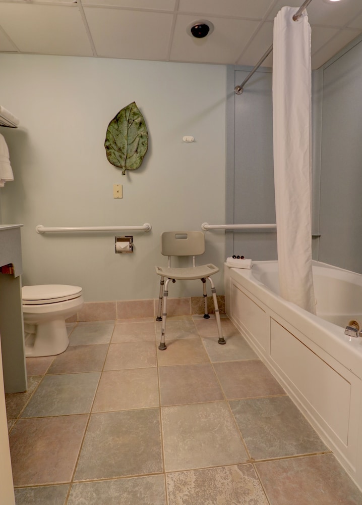 Senator Inn & Spa - photo 67