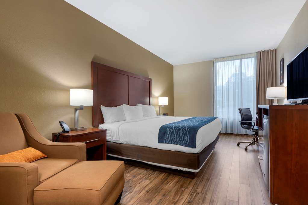 Comfort Inn Binghamton I 81 - photo 16