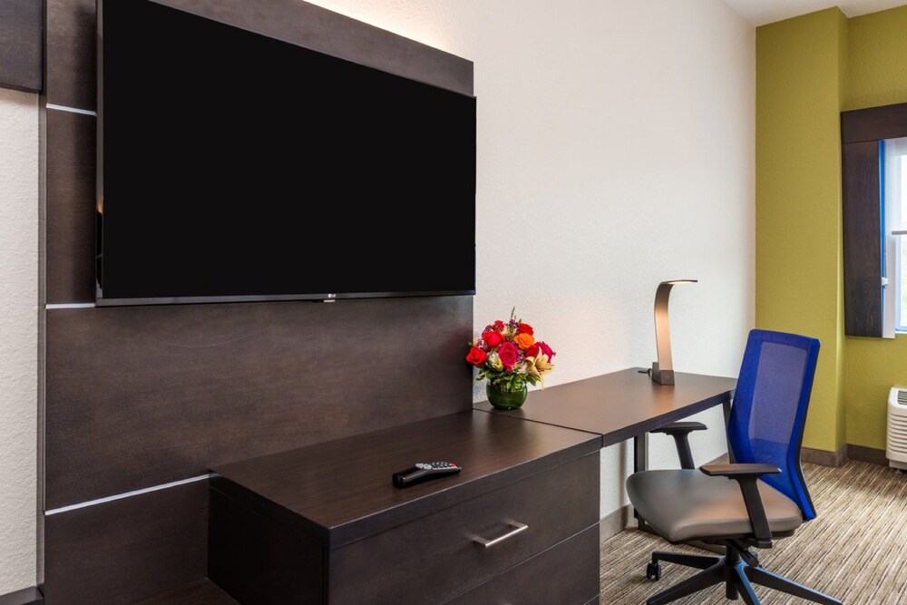 Holiday Inn Express & Suites Tampa North Wesley Chapel by IHG - photo 29