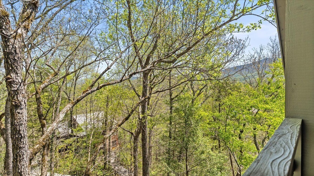 Laurel Valley Mountain Retreat - photo 146