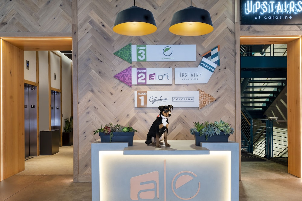 Aloft Austin Downtown - photo 3