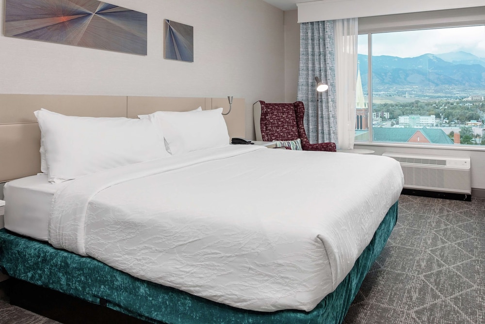 Hilton Garden Inn Colorado Springs Downtown - photo 43