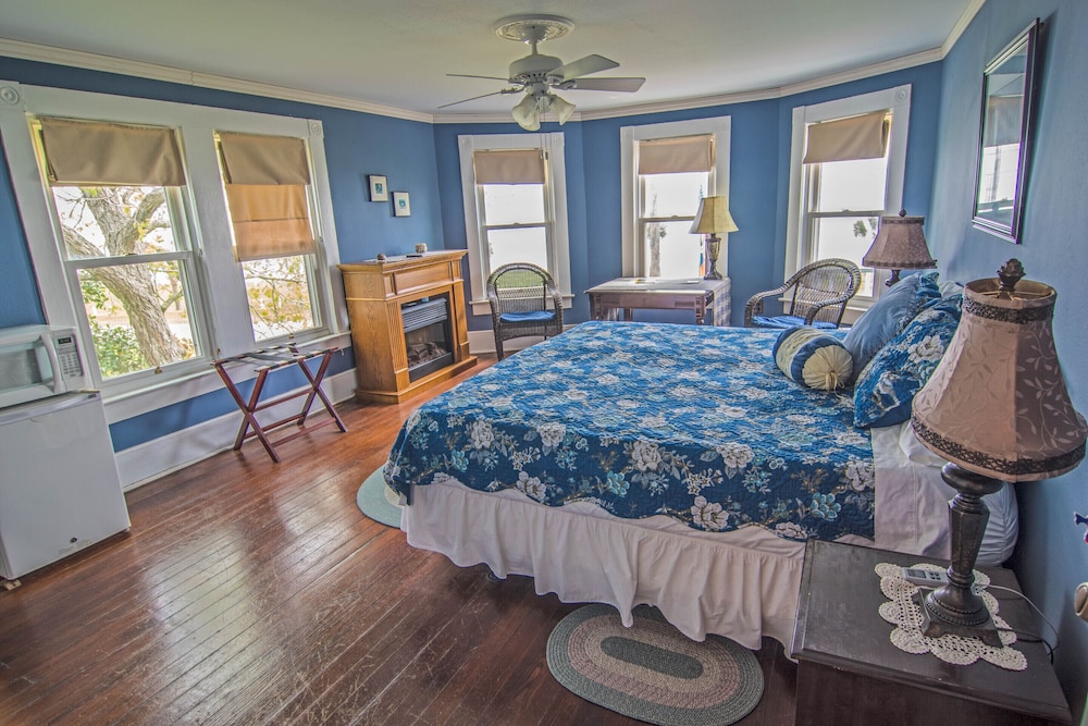 The Peaceful Pelican - photo 5