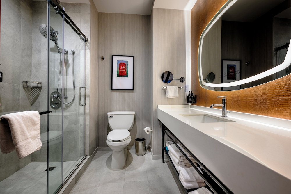 Hotel Indigo Baton Rouge Downtown by IHG - photo 66