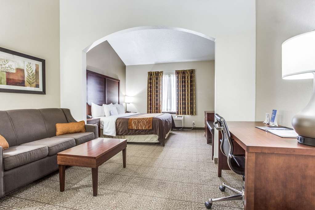 Comfort Inn & Suites Love Field Dallas Market Center - photo 19