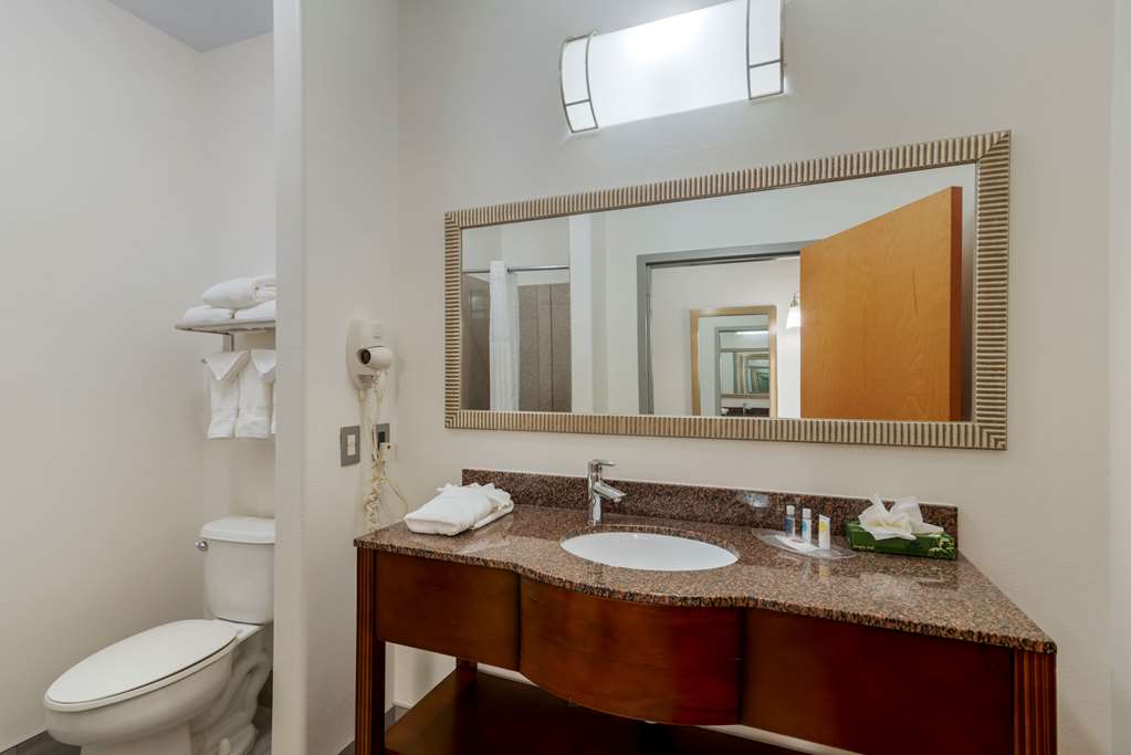 Comfort Suites Stockbridge Atlanta South - photo 8