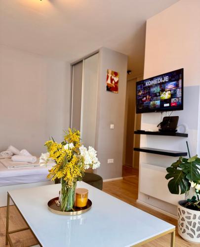 Cozy studio with sunny terrace