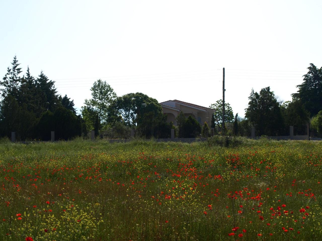 Παληοκτημα Palioktima — Neo Rysi — photo 2