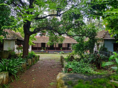Meadows - carbon neutral hotel in Trichur