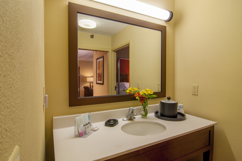 Hampton Inn & Suites Tampa North - photo 31