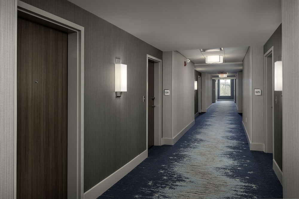 Hilton Garden Inn Florence Cincinnati Airport South - photo 28