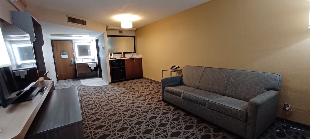 Holiday Inn McAllen Medical Center Area an IHG Hotel - photo 16