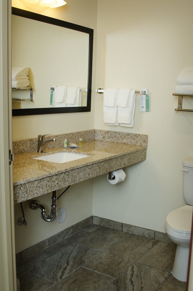 Cobblestone Inn & Suites Soda Springs - photo 25