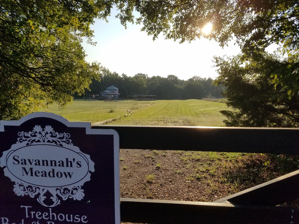 Savannah's Meadow - photo 32