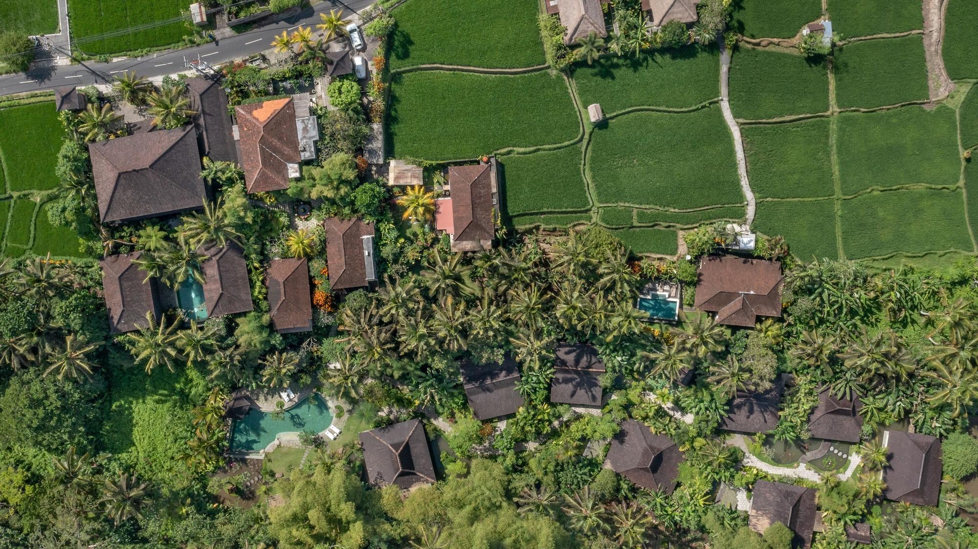 Korurua Dijiwa Ubud — Seminyak