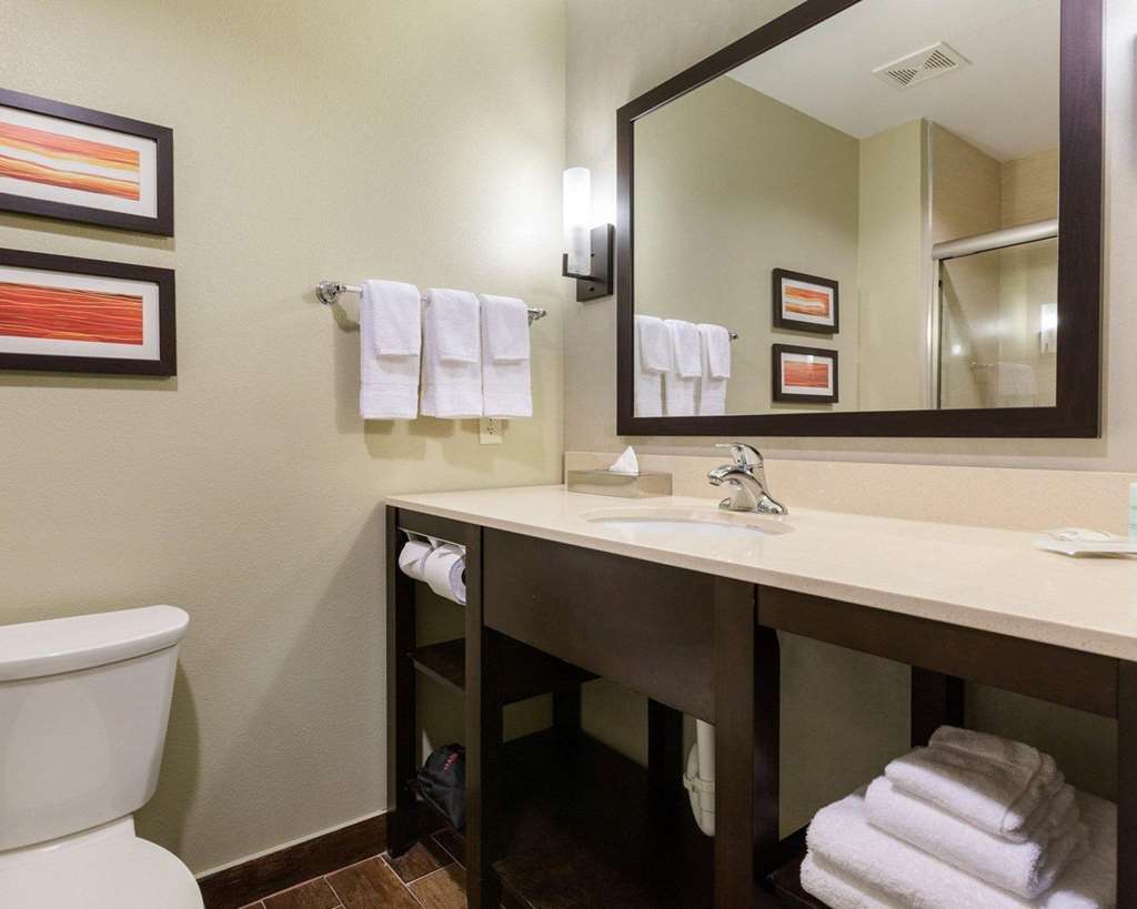 Comfort Suites near Westchase on Beltway 8 - photo 8
