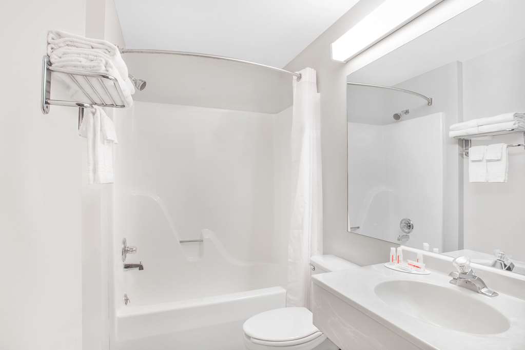 Microtel Inn & Suites by Wyndham Appleton - photo 13
