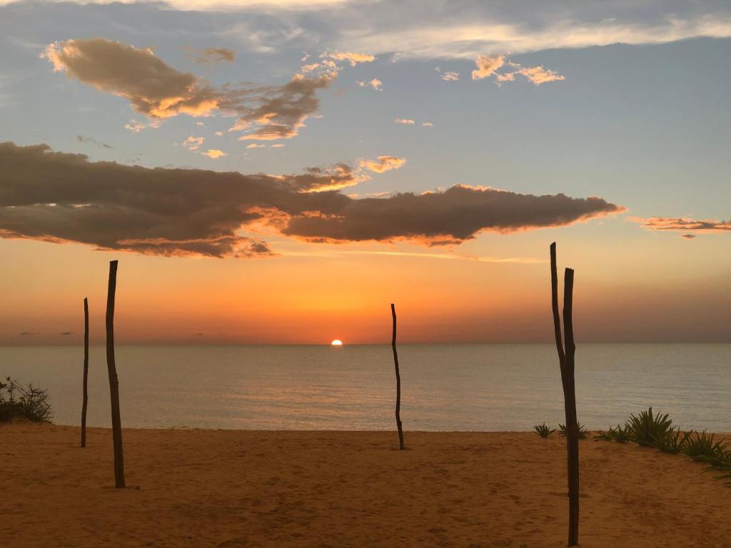 Playa 55 beach escape adults only Guesthouse — 4-Star Luxury Hotel in Celestun, Mexico