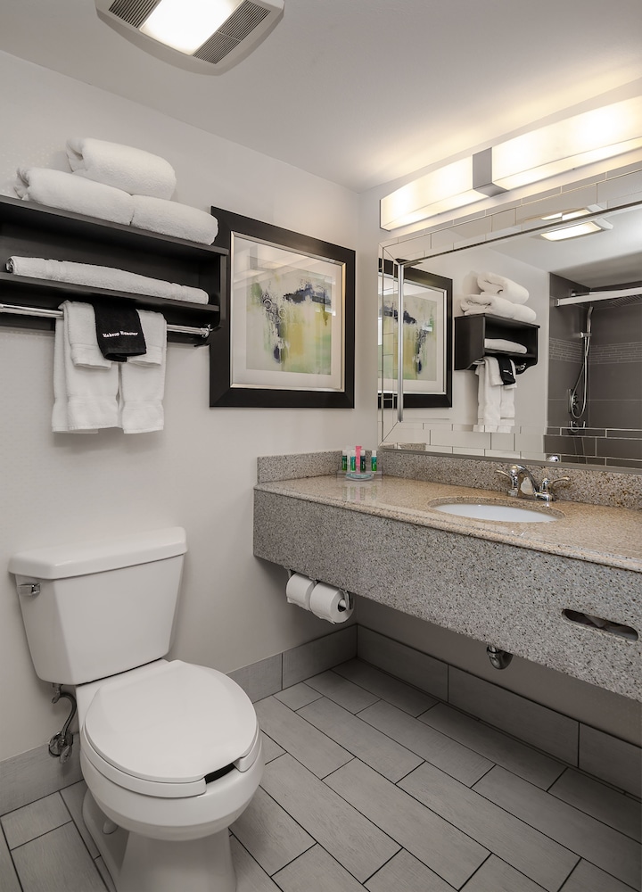 Holiday Inn & Suites Syracuse Airport Liverpool by IHG - photo 26