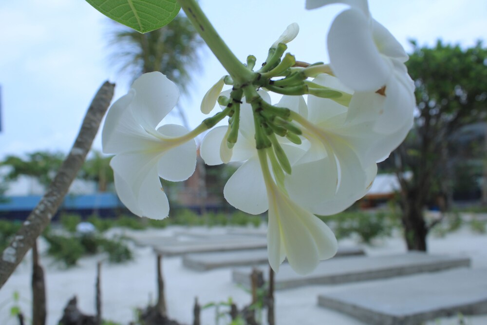 Long Set Resort — 4-Star Luxury Hotel in Sihanoukville, Cambodia
