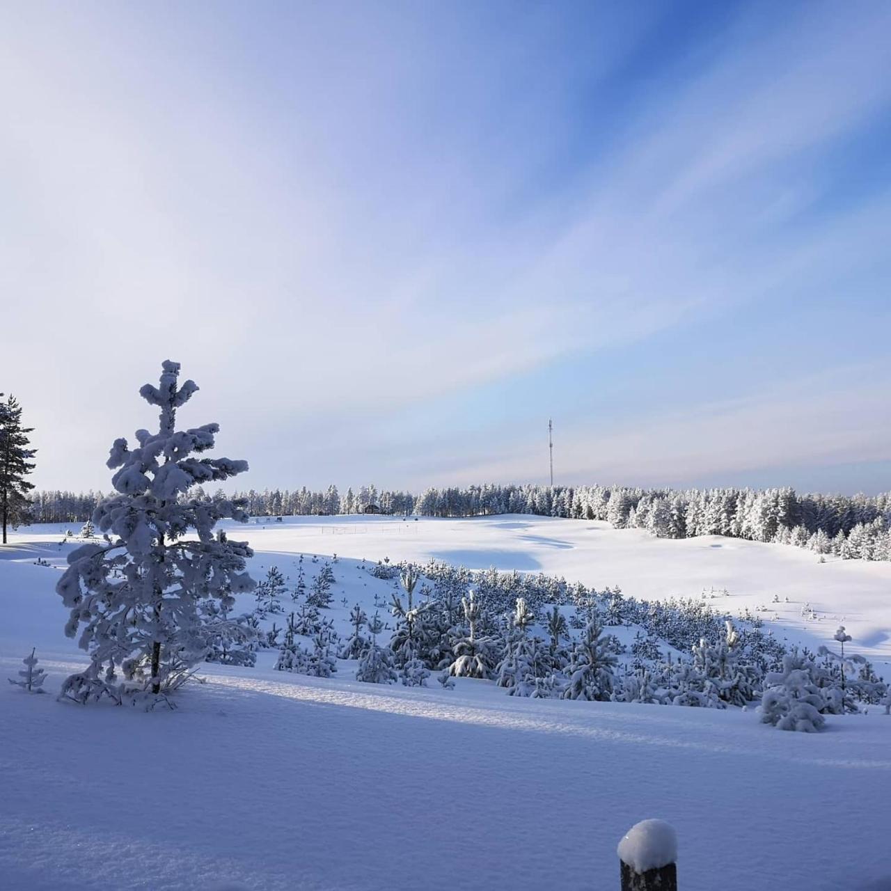 Rattle Nest — Loimaa — photo 2