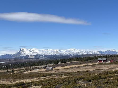 New and cozy family cabin on Golsfjellet — 4-Star Luxury Hotel in Gol, Norway