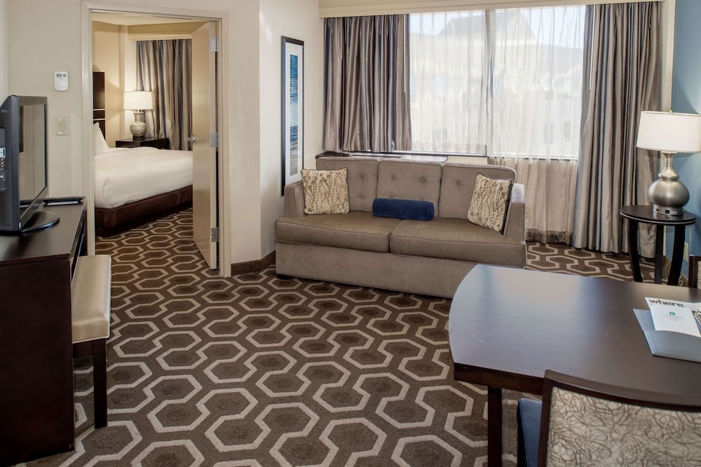 Embassy Suites by Hilton St. Louis Airport - photo 27
