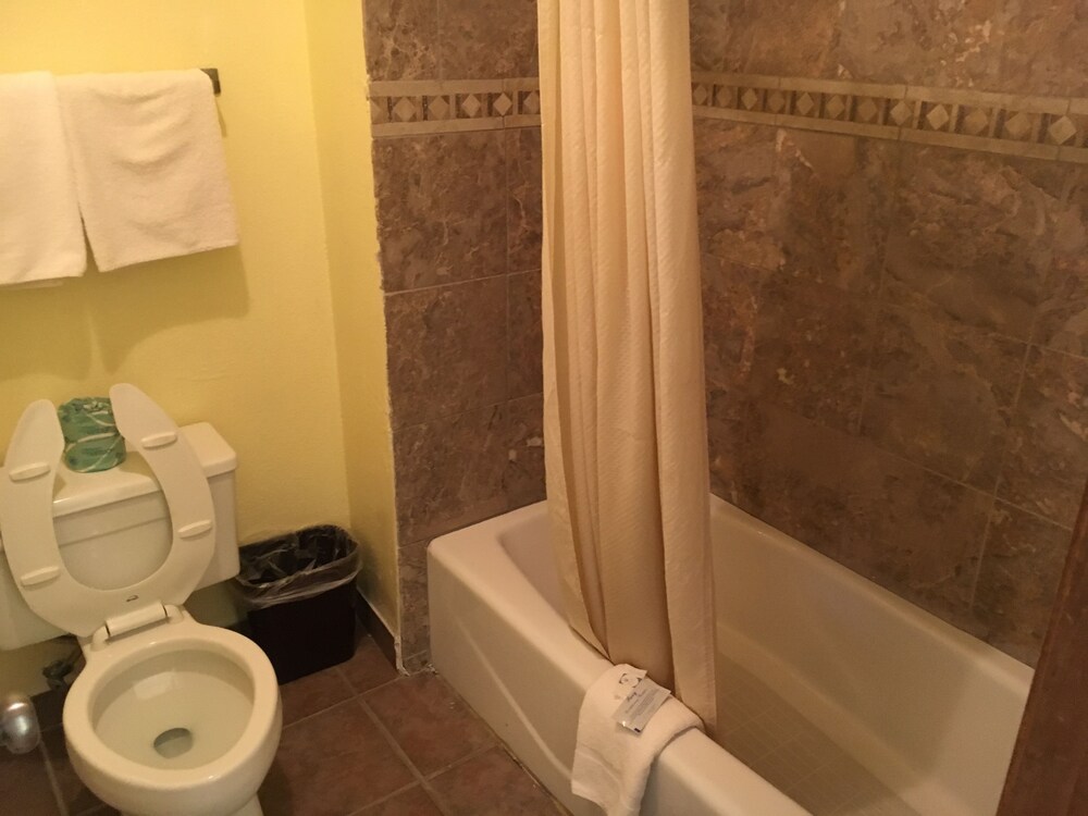 Executive Inn Odessa - photo 10