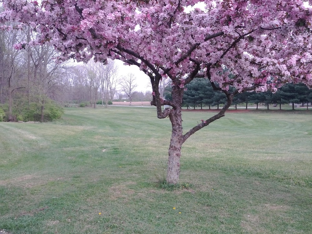 Brook Pointe Inn - photo 36