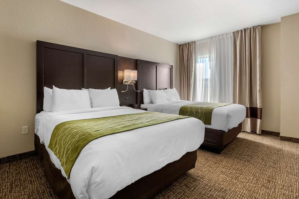 Comfort Inn & Suites Cedar Rapids CID Eastern Iowa Airport - photo 35