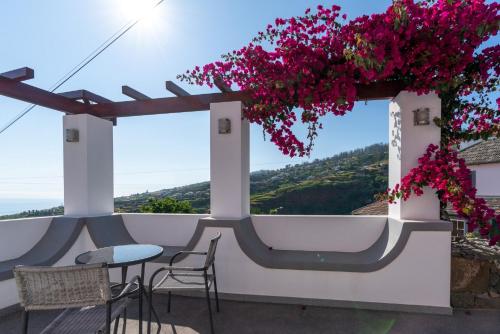 OurMadeira Casa das Orquídeas sunny location — 4-Star Luxury Hotel in Calheta, Portugal