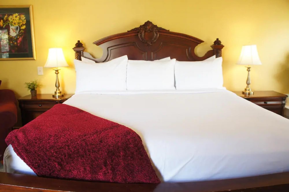 Avenue Hotel Bed & Breakfast - photo 50
