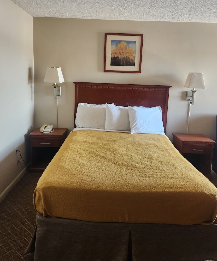 Royal Motel - photo 27