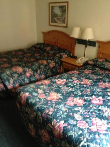 Super 8 Motel Ripley - photo 13