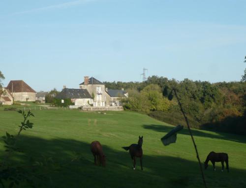 Domaine de Montgenoux in Tours, France