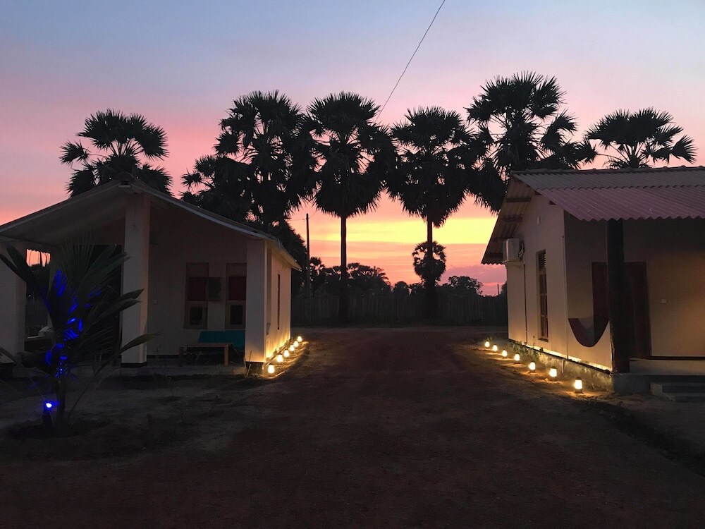 The Coconut in Ampara, Sri Lanka
