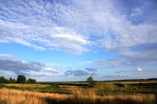 Boddensegler — carbon neutral stay, Zingst