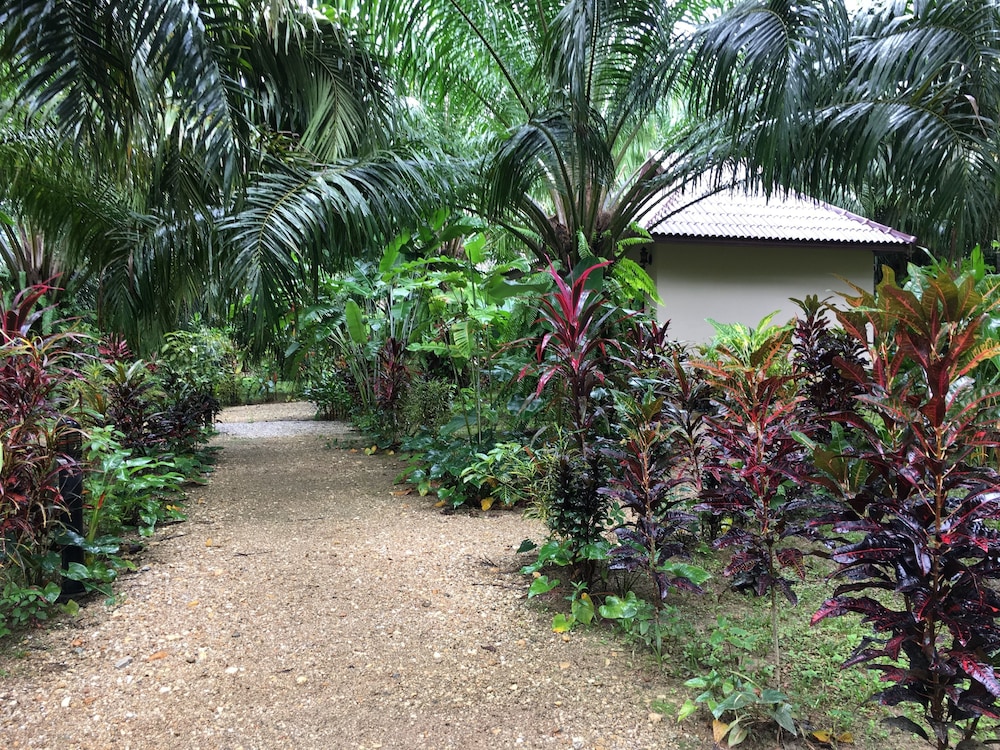Khao Sok Palm Garden Resort in Phanom, Thailand