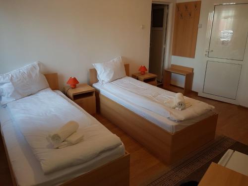 Piete Targuri Si Oboare in Fagaras, Romania