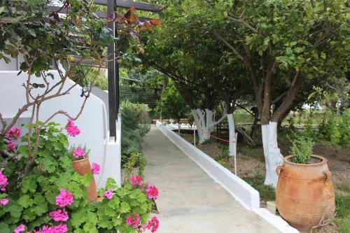 Aaron Apartments — 4-Star Luxury Hotel in Ierapetra, Greece