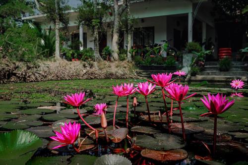 Marari Ebin Charlys — Alleppey — photo 2