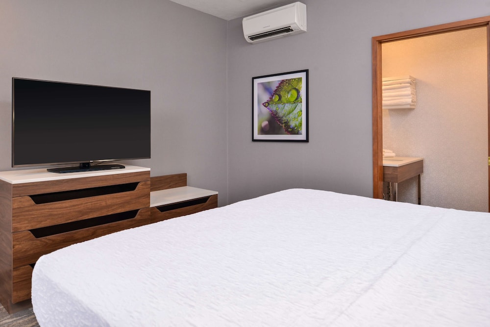 Hampton Inn & Suites Boise Spectrum - photo 45