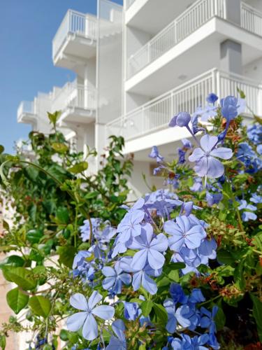 Color Dream Residence — 4-Star Luxury Hotel in Monopoli, Italy