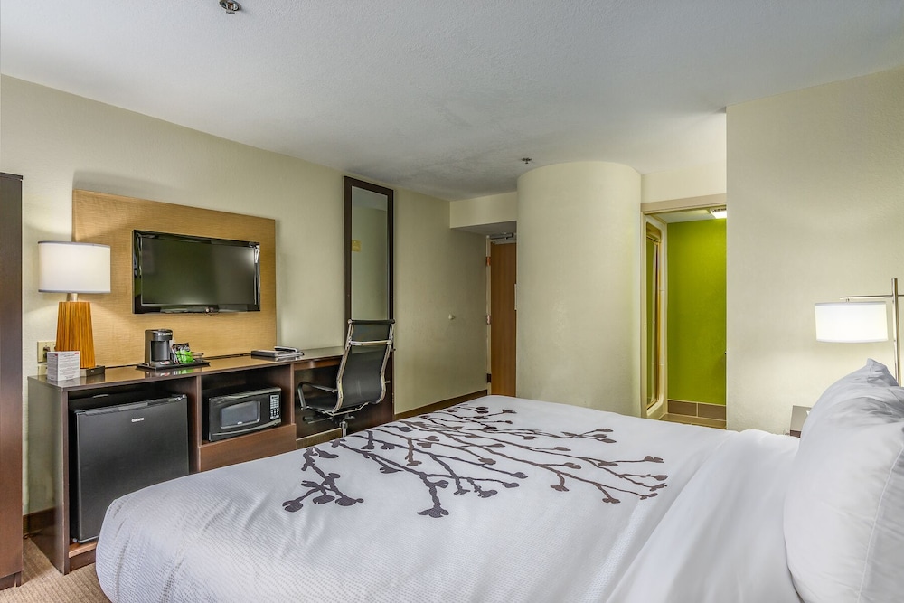 Garner Hotel Albuquerque Airport by IHG - photo 12